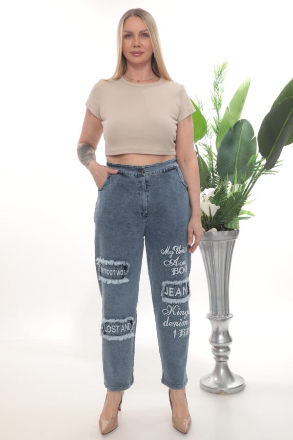 file_1269.jpg Wholesale Embroidered Graphic Patch Distressed Jeans