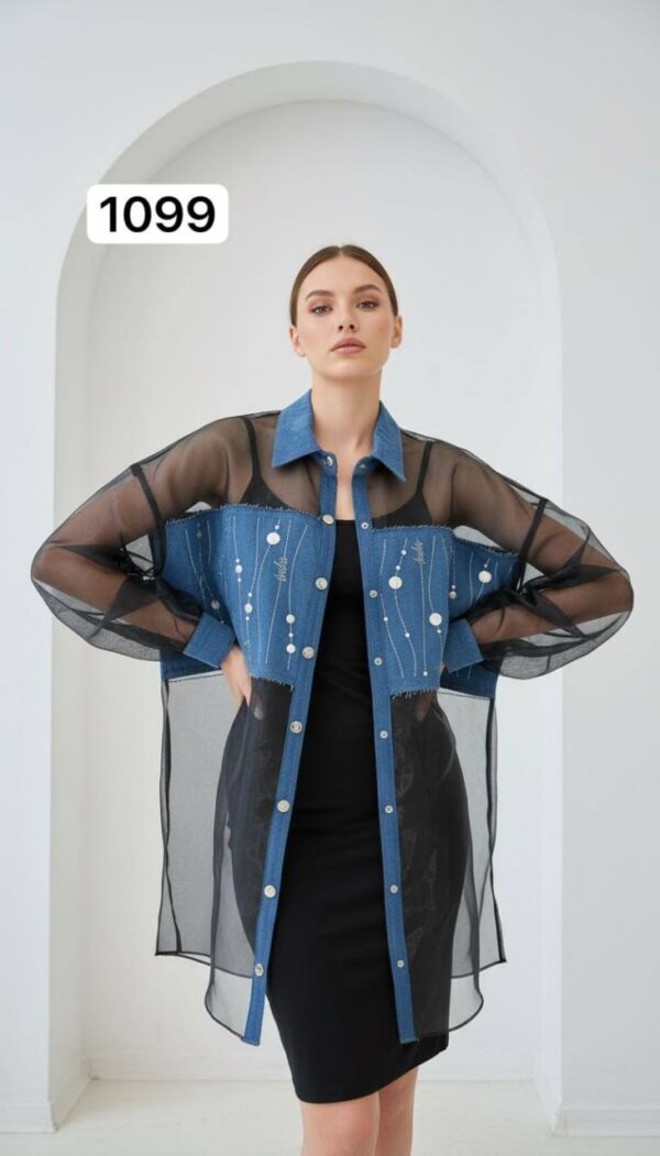 file_2302.jpg Two-Piece Mini Dress and Sheer Denim Jacket Set