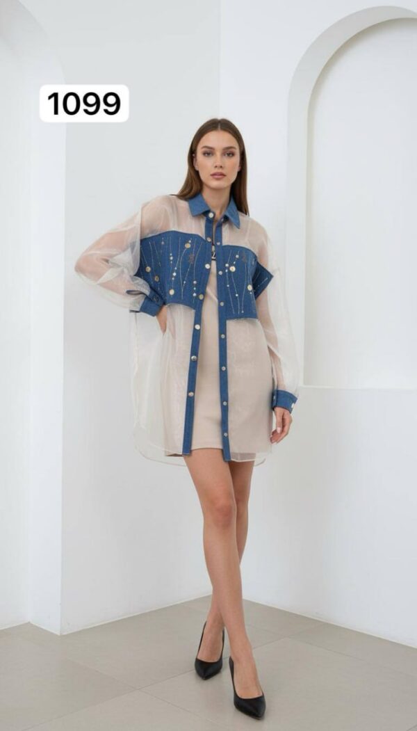 file_2308.jpg Two-Piece Mini Dress and Sheer Denim Jacket Set