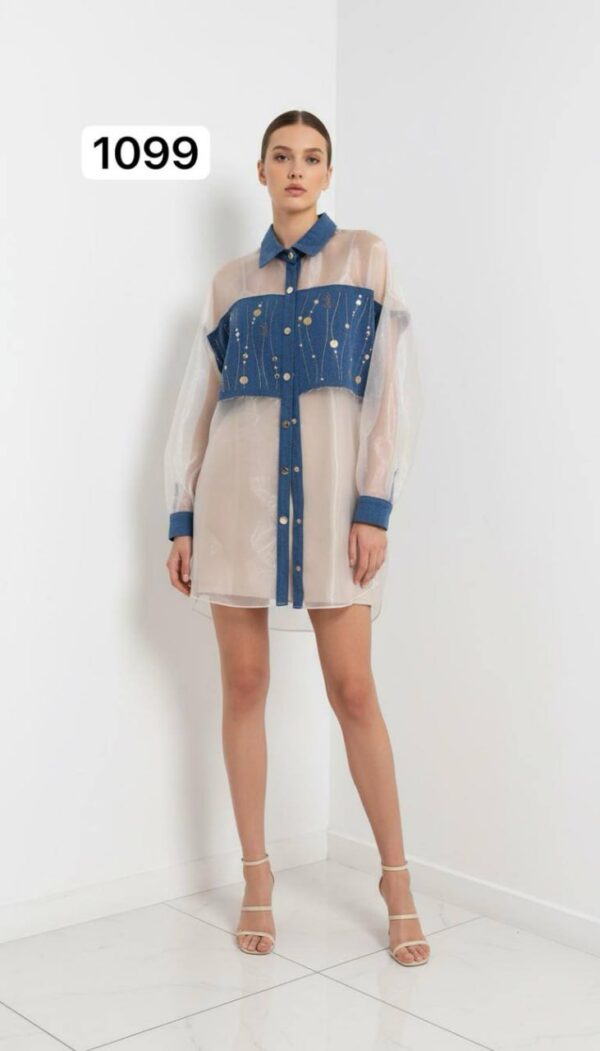 file_2309.jpg Two-Piece Mini Dress and Sheer Denim Jacket Set