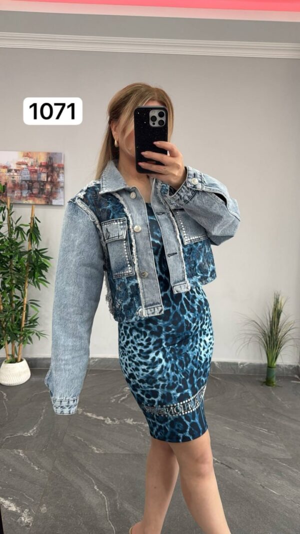 file_2845.jpg Leopard Print Mini Dress and Denim Jacket Set