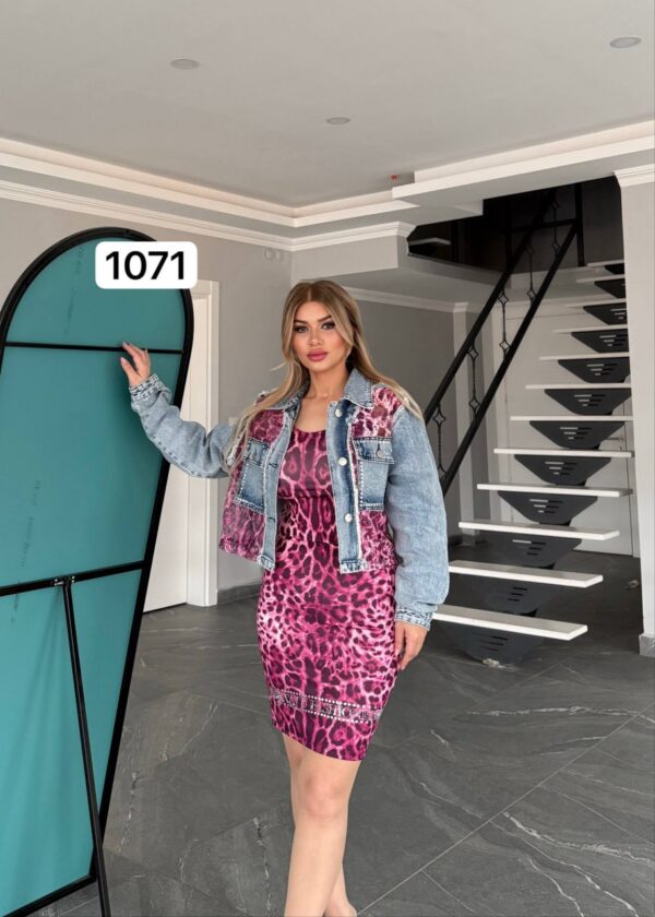 file_2980.jpg Leopard Print Mini Dress and Denim Jacket Set