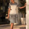 Graphic Zebra Print Fit and Flare Dress