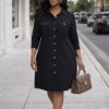 Chic Drawstring Waist Button-Up Shirtdress