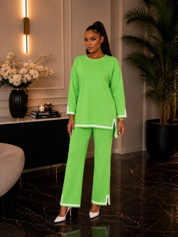 Elegant Color Block Shirt Dress