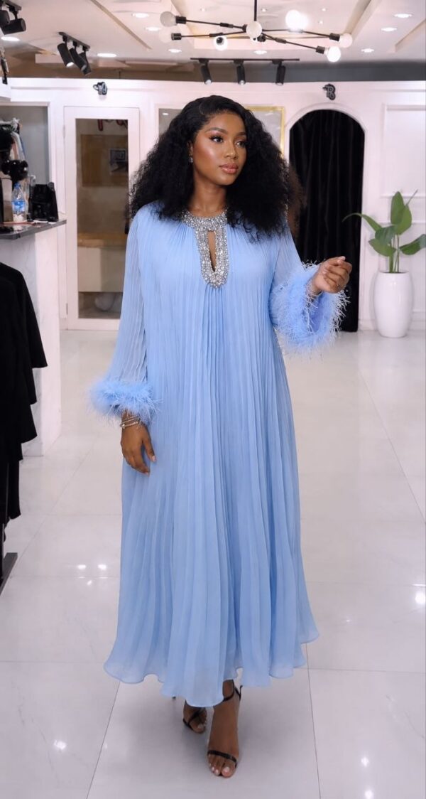 Premium Pleated Maxi Dress with Feather Details